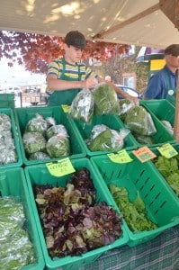 Veggies at the Revelstoke Farm & Craft Market, downtown Revelstoke. Photo: Aaron Orlando/Revelstoke Mountaineer