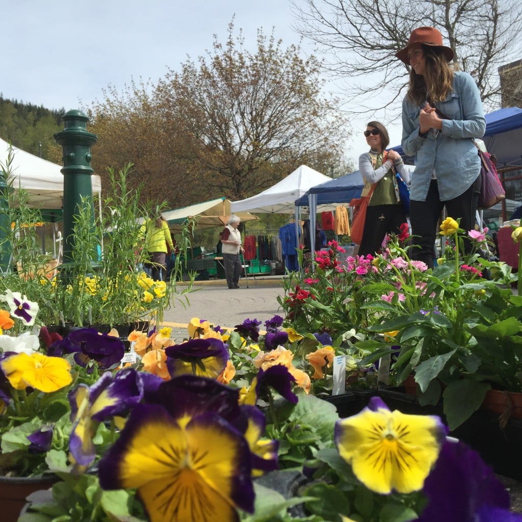 Partnering with community organizations like the Revelstoke Farm & Craft Market (pictured) is key to making this a truly Revelstoke festival, organizers say. Photo: Aaron Orlando/Revelstoke Mountaineer