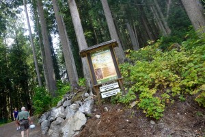 SkyTrek and The Enchanted Forest is located right off the busy Trans-Canada highway. Photo: Emily Kemp/Revelstoke Mountaineer.