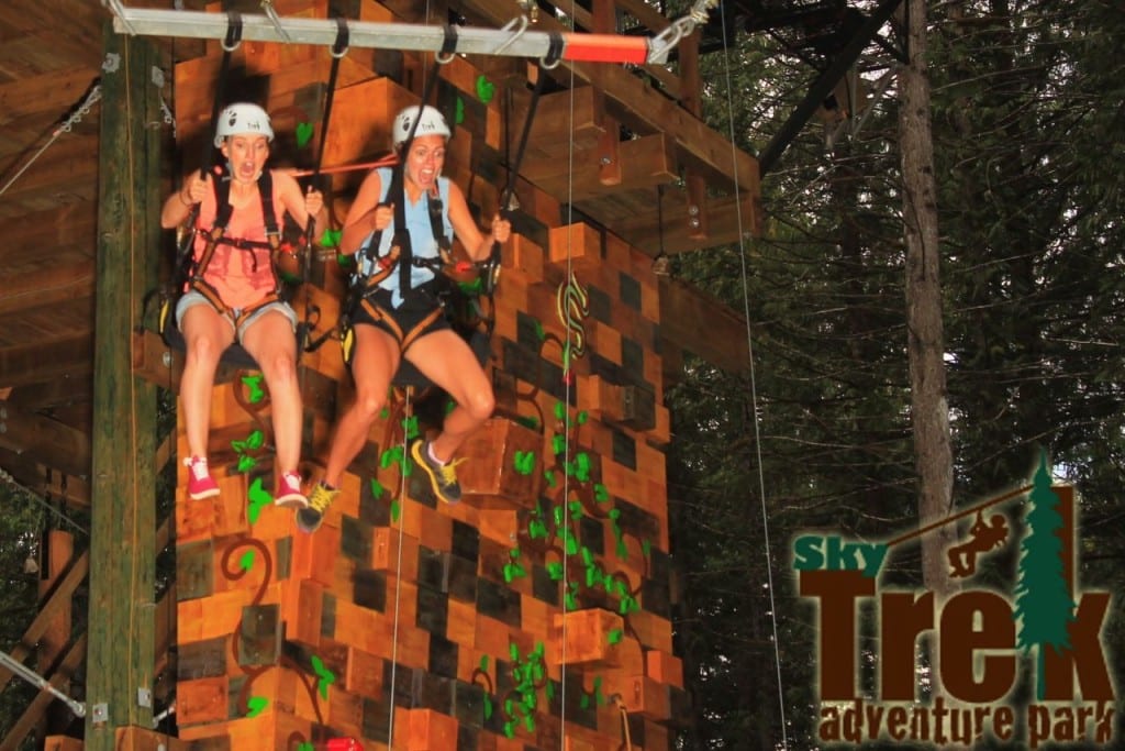 Fear is evident on the faces of journalist Emily Kemp (left) and Avery Francis (right) on the Sky Swing and the SkyTrek Adventure Park. Photo: SkyTrek.