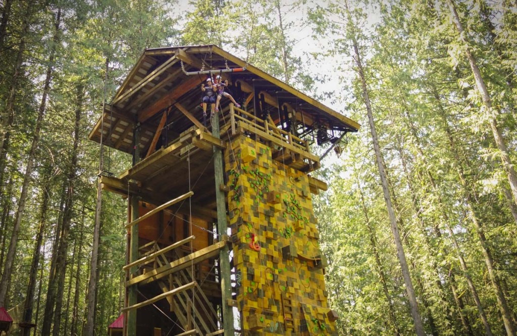 Guests take on the Sky Swing at SkyTrek Adventure Park. Photo: SkyTrek publicity shot.