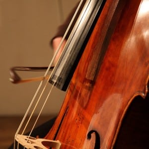 The cello. Photo: Marco Tedaldi (CC 2.0)