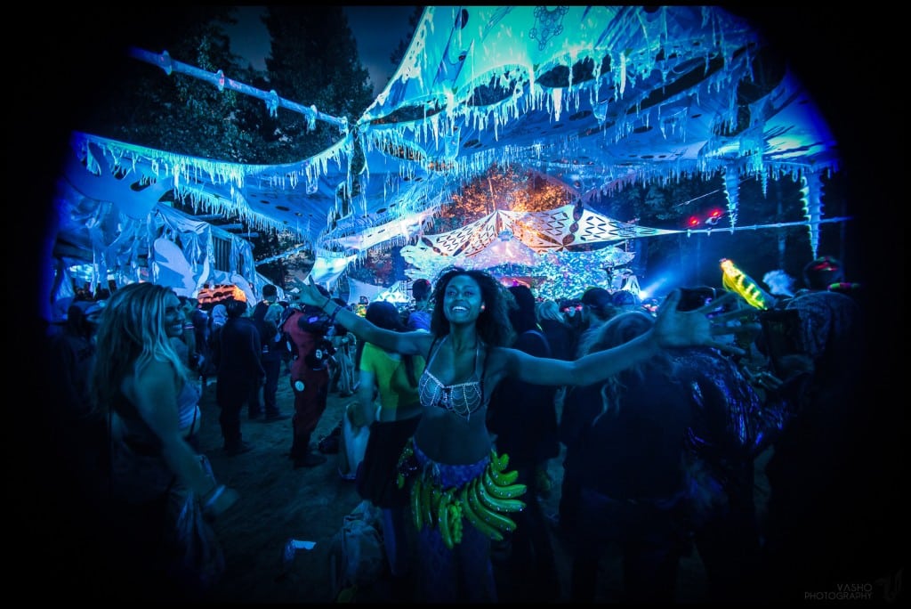 The wild and wonderful world of Bass Coast. Photo: Vasho Photography