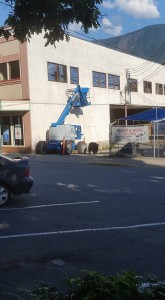 A mature black bear roaming Revelstoke's downtown on Tuesday August 16 was shot and killed. Photo: Zack Vansickle