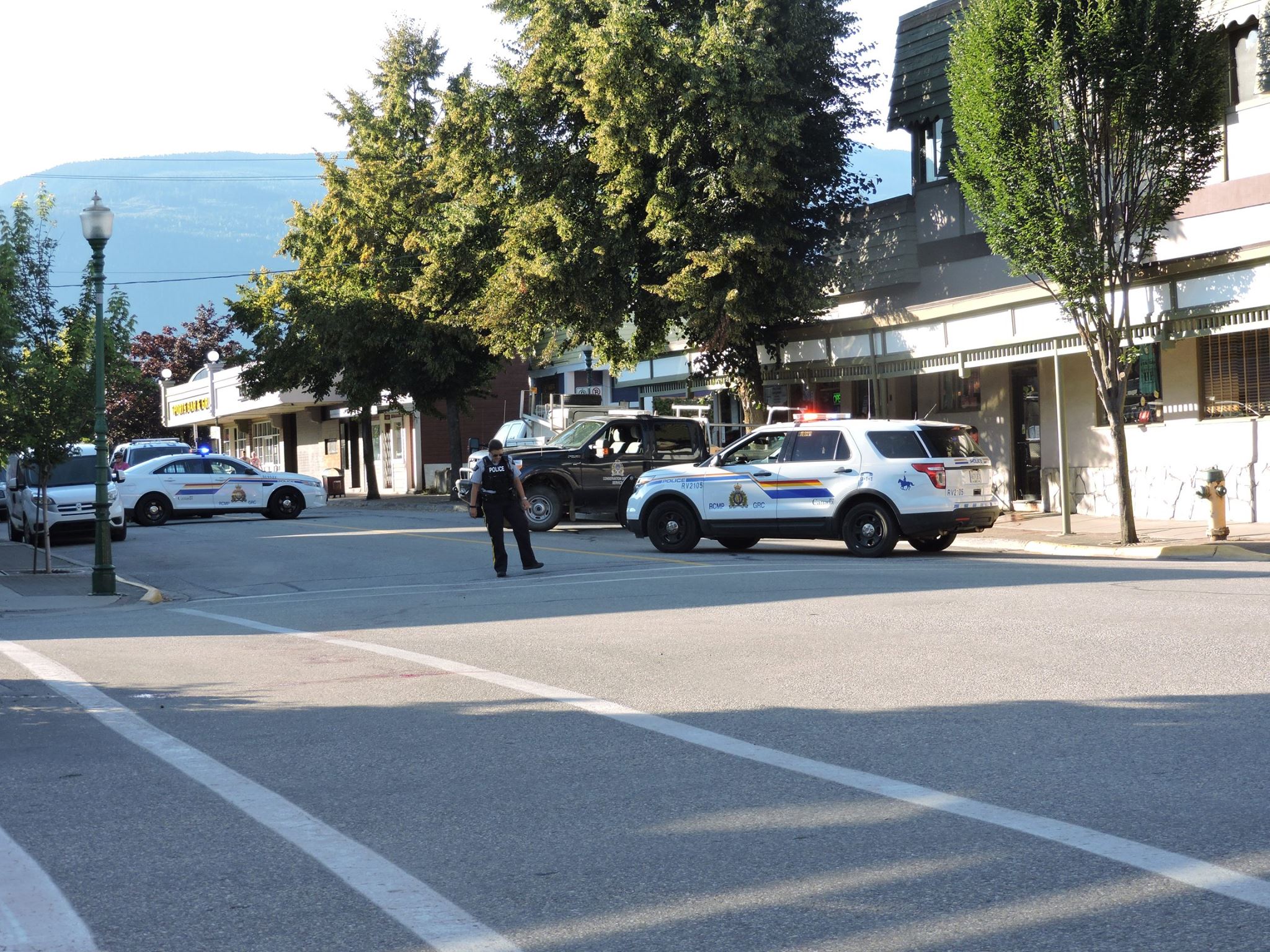 Local RCMP manage the scene after a black bear was shot in downtown Revelstoke. Photo: Arianna Sterritt