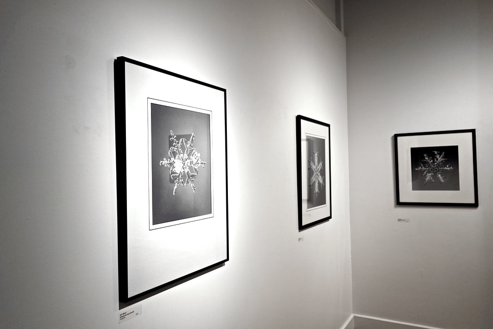 Kip Wiley's Seeking the Holy Grail exhibition at the Revelstoke Art Gallery. Photo: Emily Kemp/Revelstoke Mountaineer