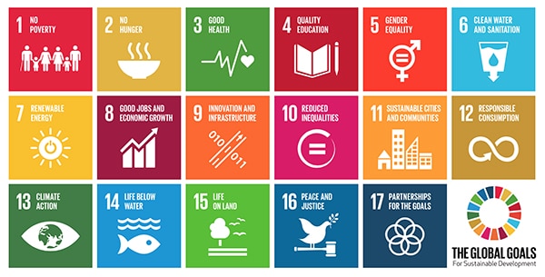 BCCIC Global goals