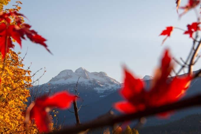 Fall in Revelstoke. Photo: Lukas Dembicki