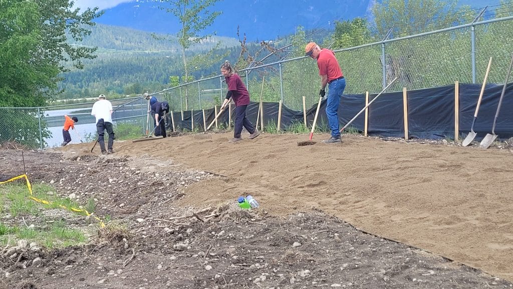 A line of volunteers spread out sand and find rock for prime Western Painted Turtle nesting sites with the wetlands behind them in the background.