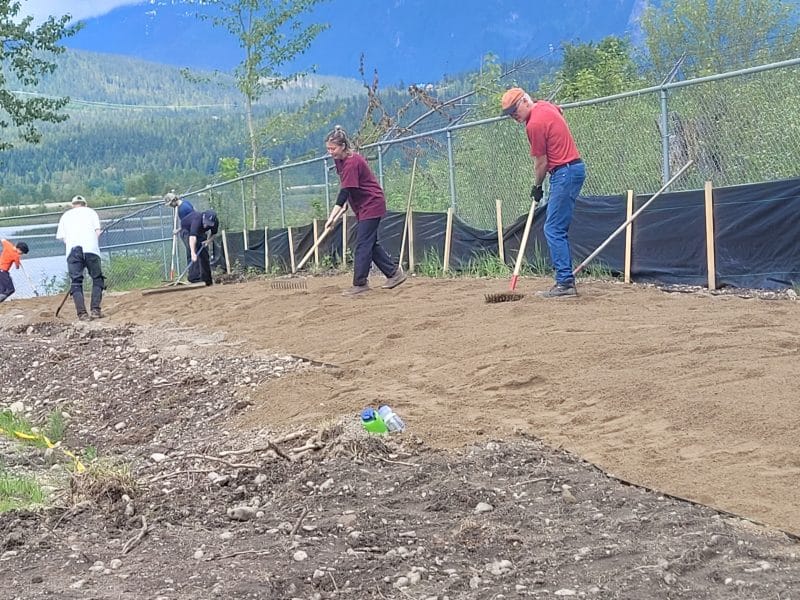 A line of volunteers spread out sand and find rock for prime Western Painted Turtle nesting sites with the wetlands behind them in the background.