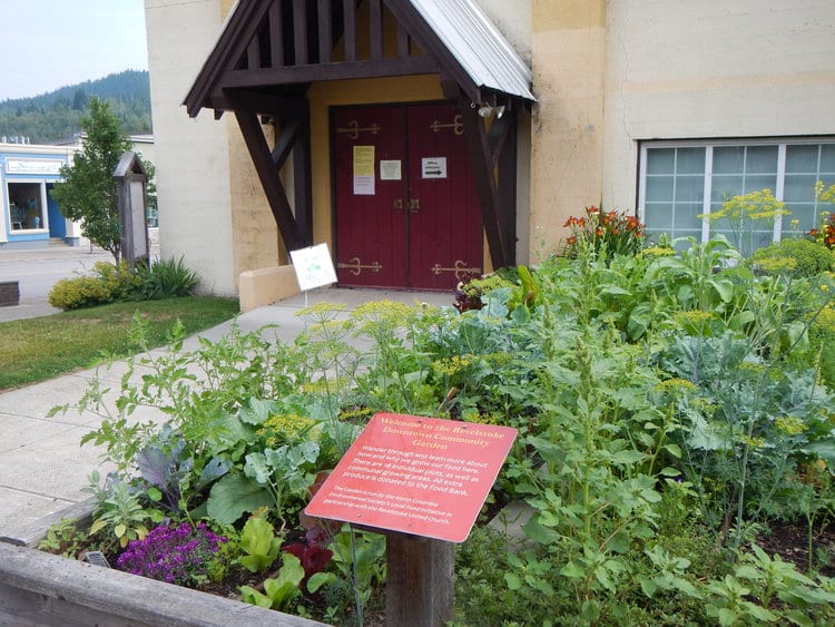 Downtown Revelstoke Community Garden cared for by local kids participating in the Little Sprouts program. Two additional community gardens are located at the Revelstoke Visual Art Center and on Track Street. Photo by Revelstoke Local Food Initiative
